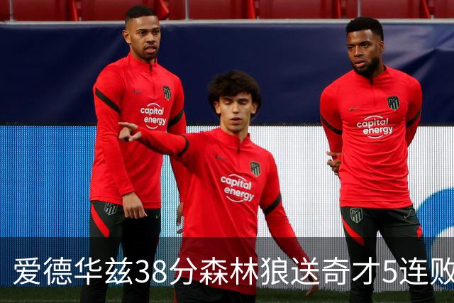 爱德华兹38分森林狼送奇才5连败 活塞力克黄蜂
